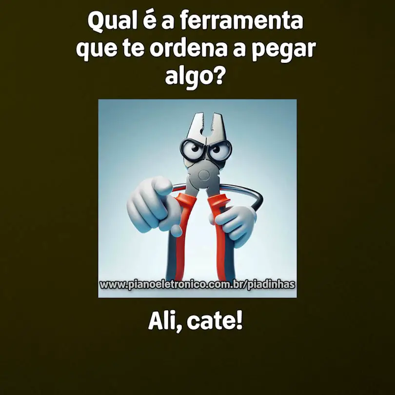 Qual é a ferramenta que te ordena a pegar algo?

Ali, cate!